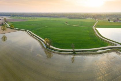 Con le risaie in Lomellina la lombardia sta già sperimentando le Tecniche di evoluzione assistita in agricoltura e guarda già a vite e mais