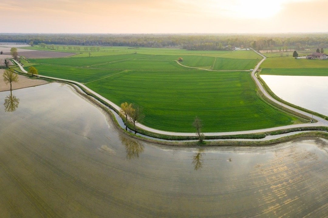 Con le risaie in Lomellina la lombardia sta già sperimentando le Tecniche di evoluzione assistita in agricoltura e guarda già a vite e mais