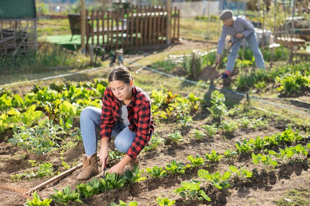 Dalla Lombardia investimento milionario a favore dei giovani in agricoltura