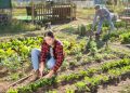 Dalla Lombardia investimento milionario a favore dei giovani in agricoltura
