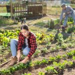 Dalla Lombardia investimento milionario a favore dei giovani in agricoltura