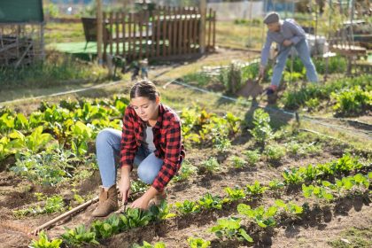 Dalla Lombardia investimento milionario a favore dei giovani in agricoltura