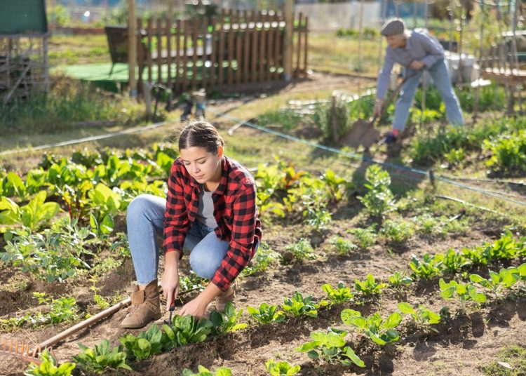 Dalla Lombardia investimento milionario a favore dei giovani in agricoltura