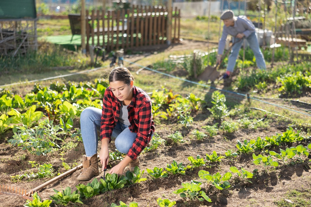 Dalla Lombardia investimento milionario a favore dei giovani in agricoltura