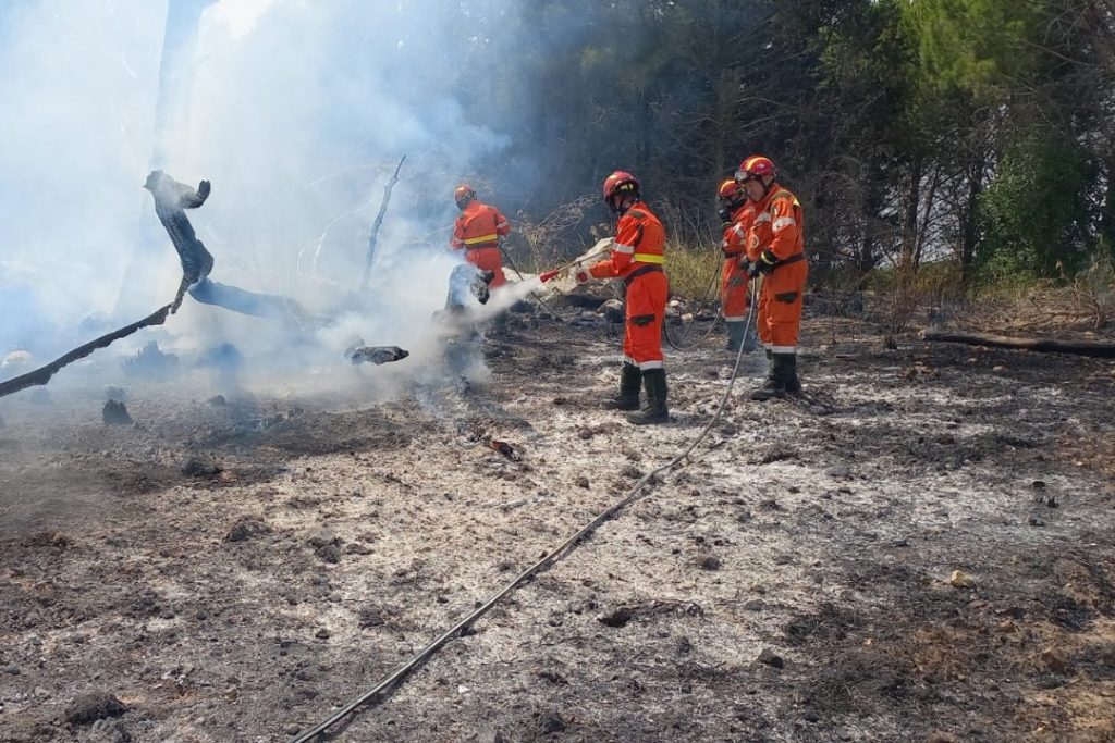 Un intervento dei volontari di Protezione civile contro gli incendi boschivi a Segesta Calatafimi (Sicilia).