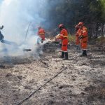 Un intervento dei volontari di Protezione civile contro gli incendi boschivi a Segesta Calatafimi (Sicilia).