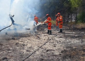 Un intervento dei volontari di Protezione civile contro gli incendi boschivi a Segesta Calatafimi (Sicilia).