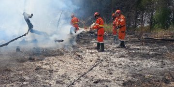 Un intervento dei volontari di Protezione civile contro gli incendi boschivi a Segesta Calatafimi (Sicilia).