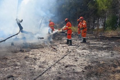 Un intervento dei volontari di Protezione civile contro gli incendi boschivi a Segesta Calatafimi (Sicilia).
