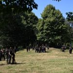 In foto il grande pioppo al Bosco delle Querce di Seveso