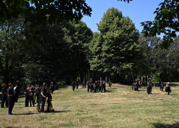 In foto il grande pioppo al Bosco delle Querce di Seveso