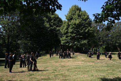 In foto il grande pioppo al Bosco delle Querce di Seveso