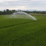 Sulla siccità raggiunto un nuovo accordo in Regione Lombardia