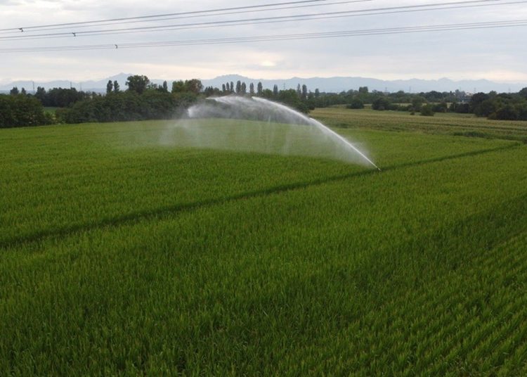 Sulla siccità raggiunto un nuovo accordo in Regione Lombardia