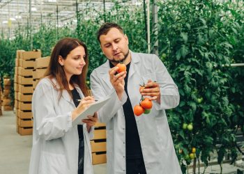 Per l’innovazione in agricoltura pronti 11 milioni da Lombardia