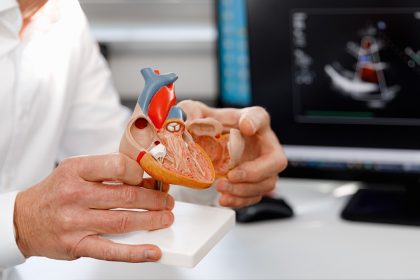La foto mostra un modello anatomico di un cuore tenuto in mano da un medico. Foto utilizzata per articolo Policlinico di Milano tecniche mininvasive