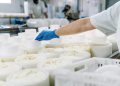 Anche il settore della trasformazione lattiero-casearia tra i beneficiari del bando della Lombardia per gli investimenti in agricoltura e nell'agroalimentare