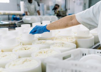 Anche il settore della trasformazione lattiero-casearia tra i beneficiari del bando della Lombardia per gli investimenti in agricoltura e nell'agroalimentare