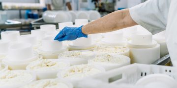 Anche il settore della trasformazione lattiero-casearia tra i beneficiari del bando della Lombardia per gli investimenti in agricoltura e nell'agroalimentare