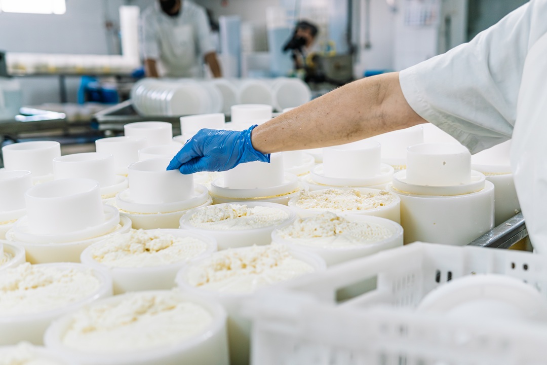 Anche il settore della trasformazione lattiero-casearia tra i beneficiari del bando della Lombardia per gli investimenti in agricoltura e nell'agroalimentare