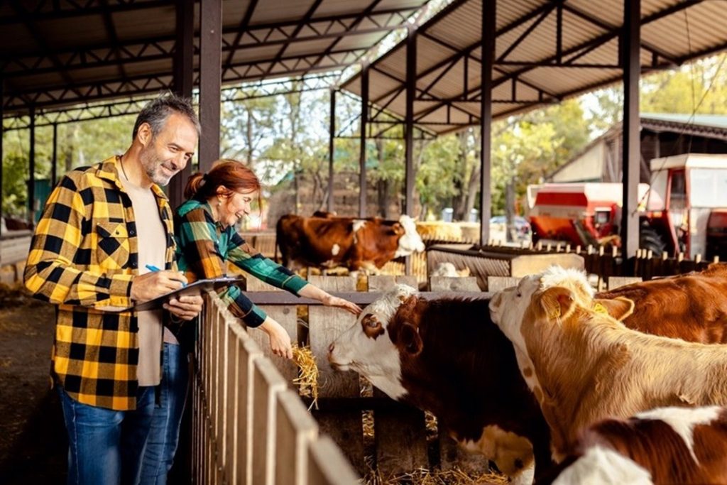 Con la Livestock Strategy della Ue la zootecnia torna al centro delle politiche comunitarie