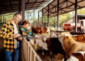 Con la Livestock Strategy della Ue la zootecnia torna al centro delle politiche comunitarie