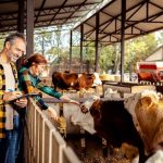 Con la Livestock Strategy della Ue la zootecnia torna al centro delle politiche comunitarie