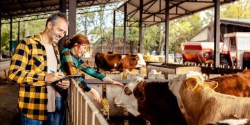 Con la Livestock Strategy della Ue la zootecnia torna al centro delle politiche comunitarie