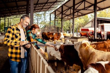Con la Livestock Strategy della Ue la zootecnia torna al centro delle politiche comunitarie