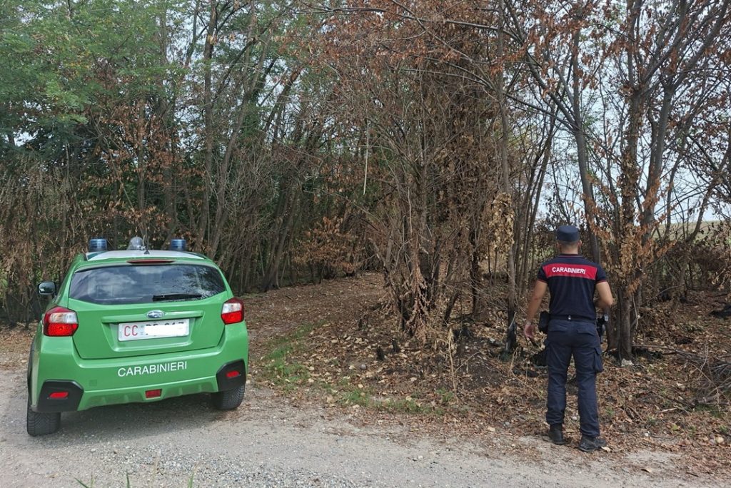 Carabinieri forestali. L'immagine mostra un'auto dei carabinieri forestali e un militare dell'Arma di spalle nell'area boschiva lungo il Ticino (Motta Visconti) dove c'era l'incendio. L'assessore regionale Romano La Russa si è congratulato con i Carabinieri che hanno individuato i responsabili dell'incendio.
