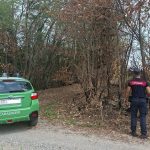Carabinieri forestali. L'immagine mostra un'auto dei carabinieri forestali e un militare dell'Arma di spalle nell'area boschiva lungo il Ticino (Motta Visconti) dove c'era l'incendio. L'assessore regionale Romano La Russa si è congratulato con i Carabinieri che hanno individuato i responsabili dell'incendio.