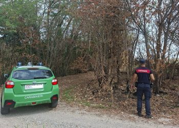 Carabinieri forestali. L'immagine mostra un'auto dei carabinieri forestali e un militare dell'Arma di spalle nell'area boschiva lungo il Ticino (Motta Visconti) dove c'era l'incendio. L'assessore regionale Romano La Russa si è congratulato con i Carabinieri che hanno individuato i responsabili dell'incendio.