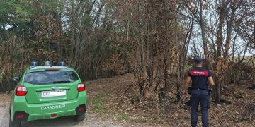 Carabinieri forestali. L'immagine mostra un'auto dei carabinieri forestali e un militare dell'Arma di spalle nell'area boschiva lungo il Ticino (Motta Visconti) dove c'era l'incendio. L'assessore regionale Romano La Russa si è congratulato con i Carabinieri che hanno individuato i responsabili dell'incendio.