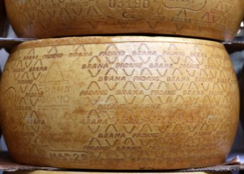 Grana Padano, con Parmigiano Reggiano, una delle Dop che rendono unico il lattiero caseraio della provincia di Mantova (foto wjarek per Shutterstock)