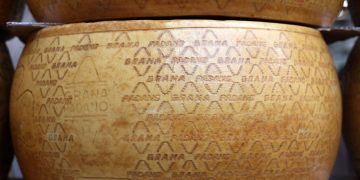 Grana Padano, con Parmigiano Reggiano, una delle Dop che rendono unico il lattiero caseraio della provincia di Mantova (foto wjarek per Shutterstock)