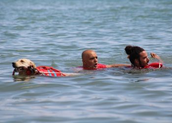 Sicurezza in mare, la foto mostra un cane salvagente che porta in salvo due persone