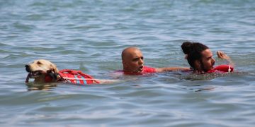 Sicurezza in mare, la foto mostra un cane salvagente che porta in salvo due persone
