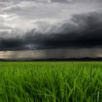 Maltempo Lombardia agosto 2026 L'immagine mostra un lampo tra nubi scure. In primo piano dei fili d'erba_Foto Ansa