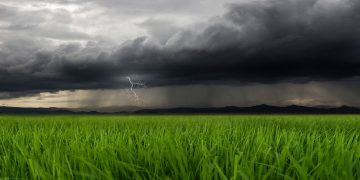 Maltempo Lombardia agosto 2026 : formalizzata da Regione Lombardia la richiesta al Governo di dichiarazione dello stato di emergenza per i danni provocati dal maltempo. L'immagine mostra un lampo tra nubi scure. In primo piano dei fili d'erba. Foto Ansa