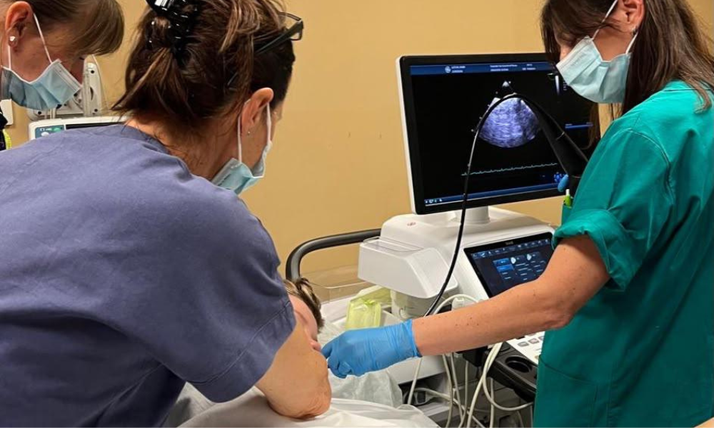 Sonda ecocardiografica Ospedale San Gerardo di Monza, utile in cardiologia pediatrica. _Foto Ospedale San Gerardo di Monza