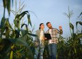 due agricoltori in un campo che discutono per dare l'idea delle imprese lombarde che ricevono i fondi dell'anticipo della Pac