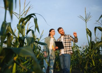 due agricoltori in un campo che discutono per dare l'idea delle imprese lombarde che ricevono i fondi dell'anticipo della Pac