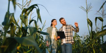 due agricoltori in un campo che discutono per dare l'idea delle imprese lombarde che ricevono i fondi dell'anticipo della Pac