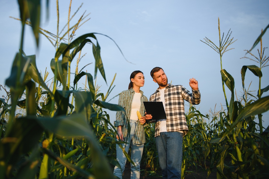 due agricoltori in un campo che discutono per dare l'idea delle imprese lombarde che ricevono i fondi dell'anticipo della Pac