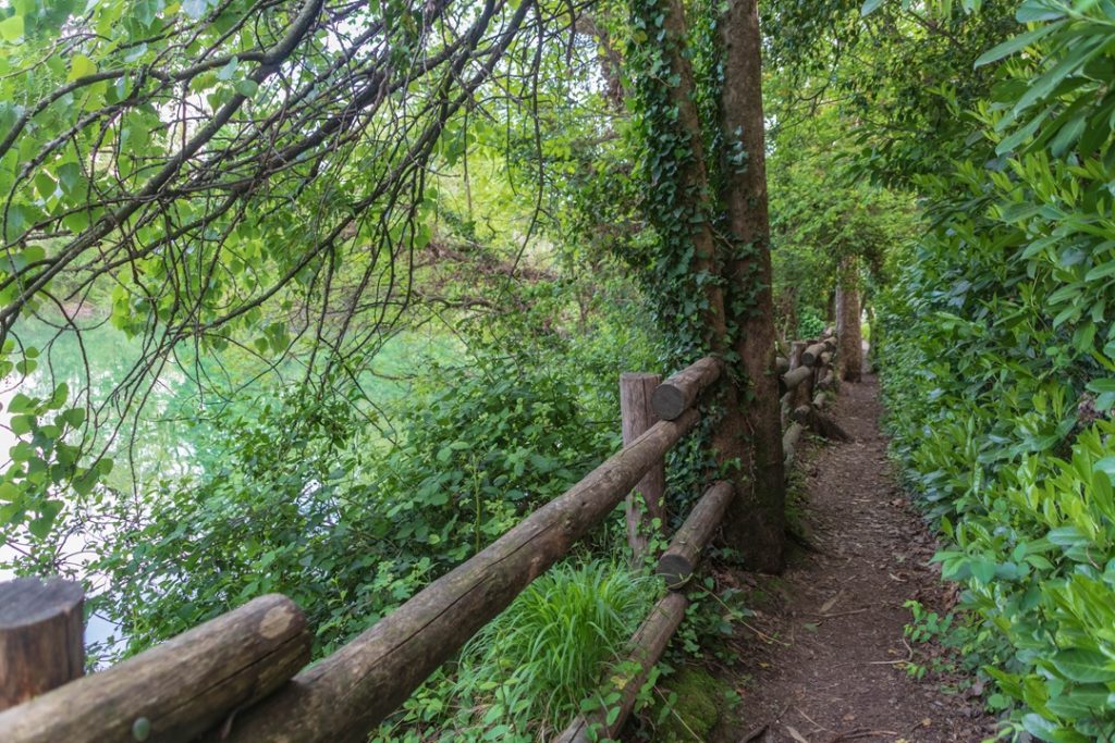 Per i servizi ambientali dei Consorzi forestalidella Lombardia in arrivo quasi 1 milione di euro