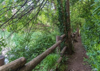 Per i servizi ambientali dei Consorzi forestalidella Lombardia in arrivo quasi 1 milione di euro