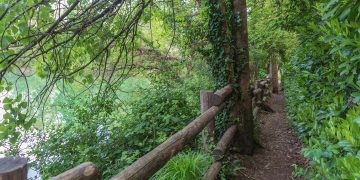 Per i servizi ambientali dei Consorzi forestalidella Lombardia in arrivo quasi 1 milione di euro