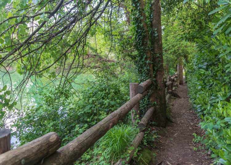 Per i servizi ambientali dei Consorzi forestalidella Lombardia in arrivo quasi 1 milione di euro