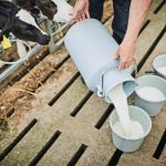 Sulla situazione del conferimento del latte a Bresciangrana, Regione Lombardia pronta a convocare un Tavolo