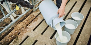 Sulla situazione del conferimento del latte a Bresciangrana, Regione Lombardia pronta a convocare un Tavolo